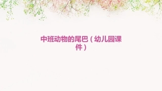 中班动物的尾巴(幼儿园课件)