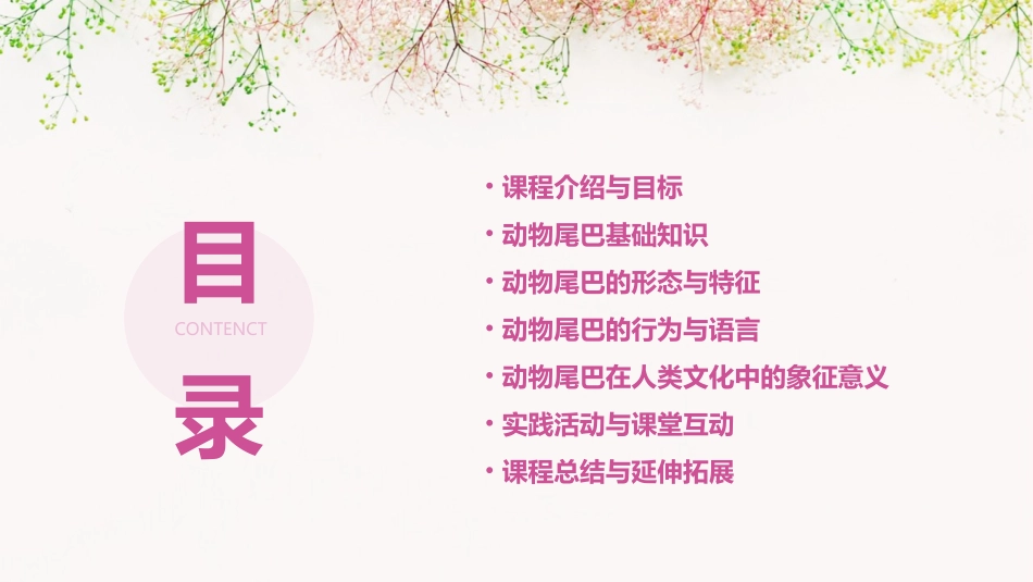 中班教案《动物的尾巴》_第2页