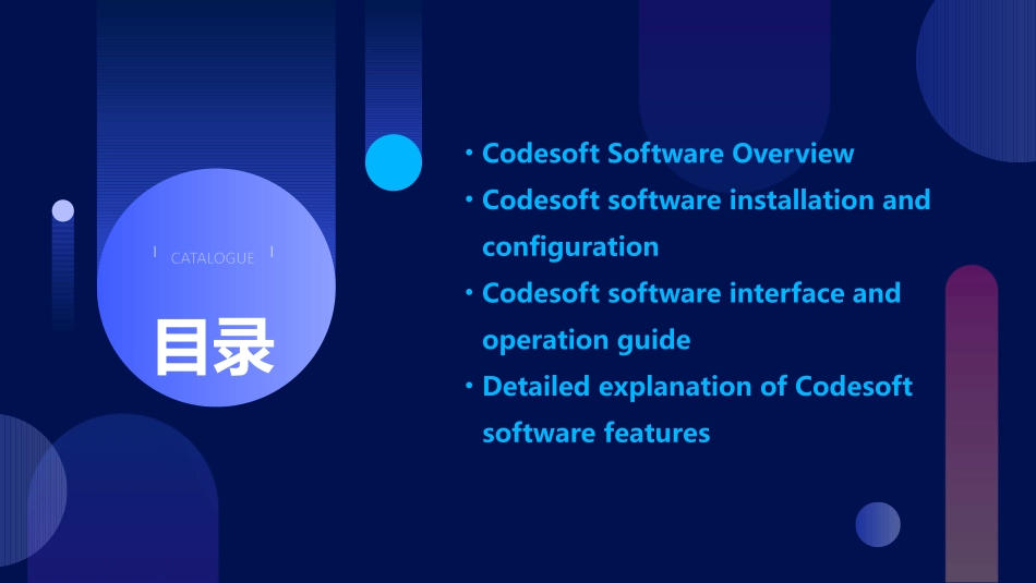 Codesoft_第2页