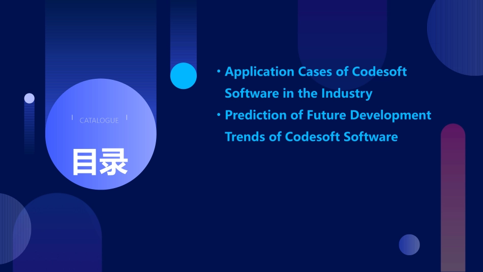 Codesoft_第3页