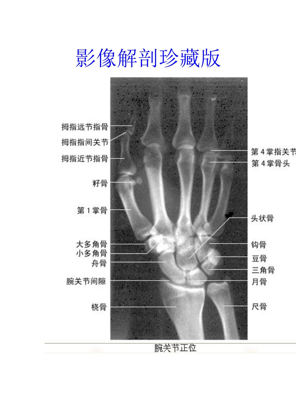 影像解剖珍藏版_第1页