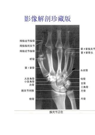 影像解剖珍藏版