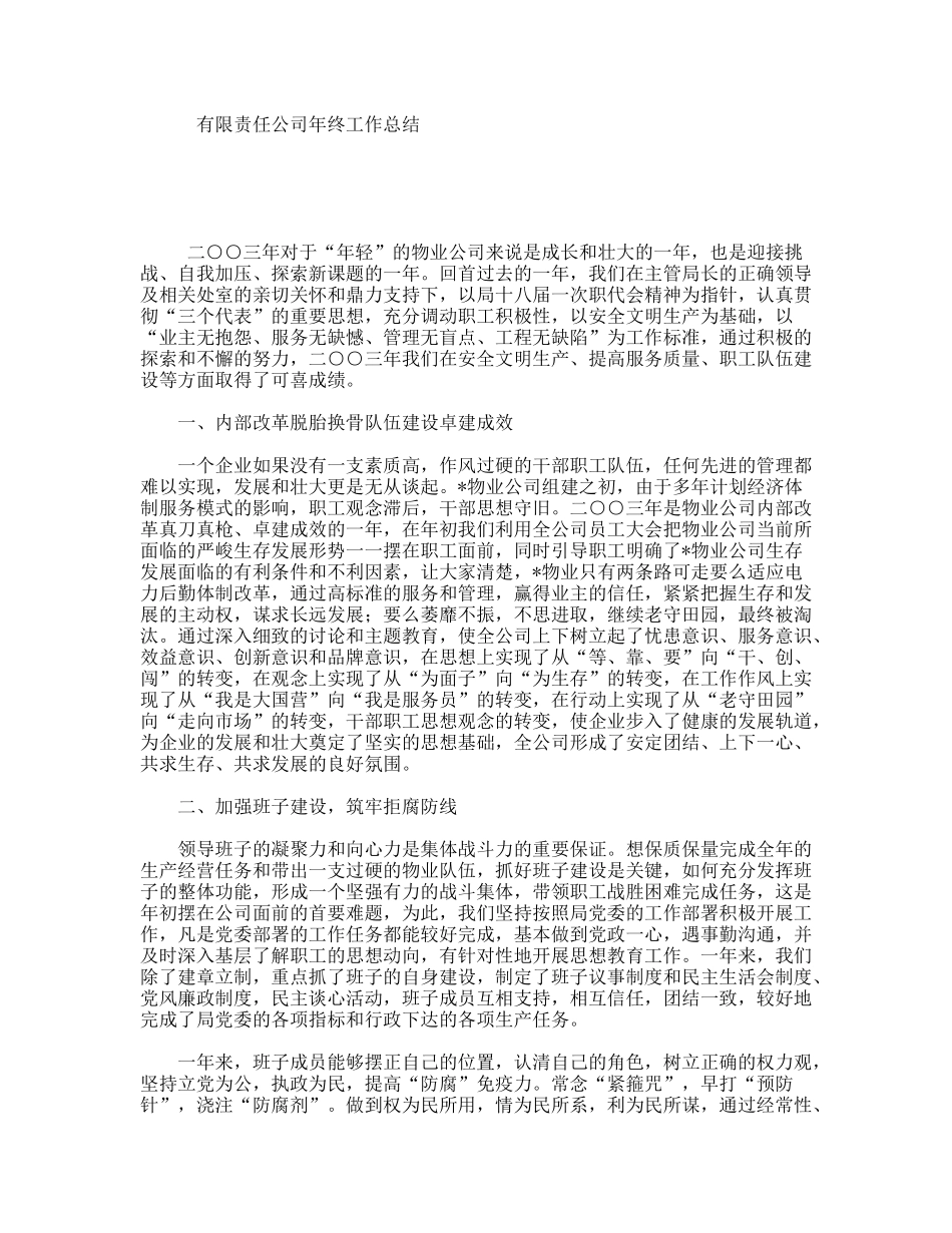 有限责任公司年终工作总结_第1页