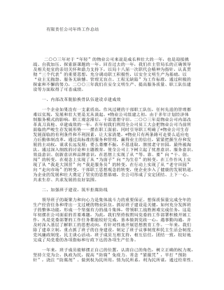 有限责任公司年终工作总结