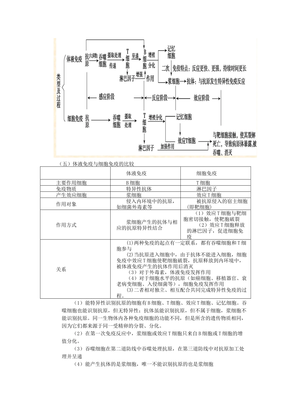 第二章第四节免疫调节_第3页