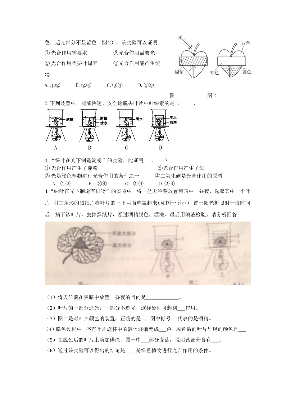 第四章绿色植物是生物圈中有机物的制造者导学案_第2页