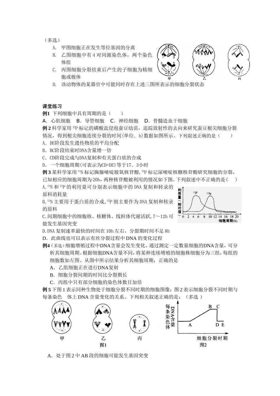 复习课细胞增殖教案_第3页
