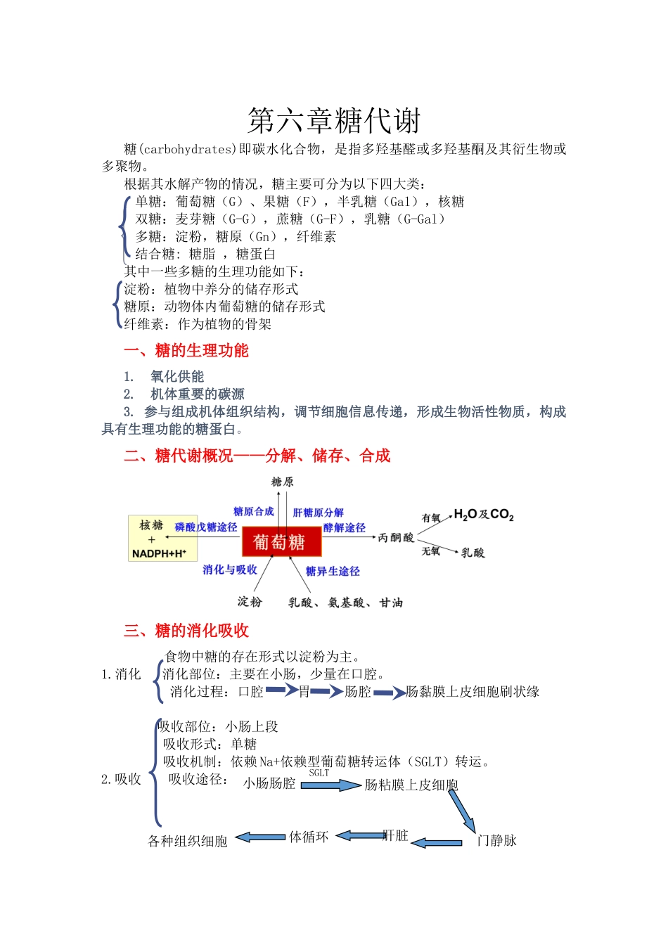 第六章糖代谢_第1页