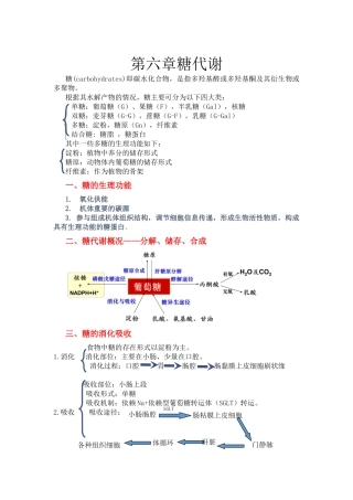 第六章糖代谢