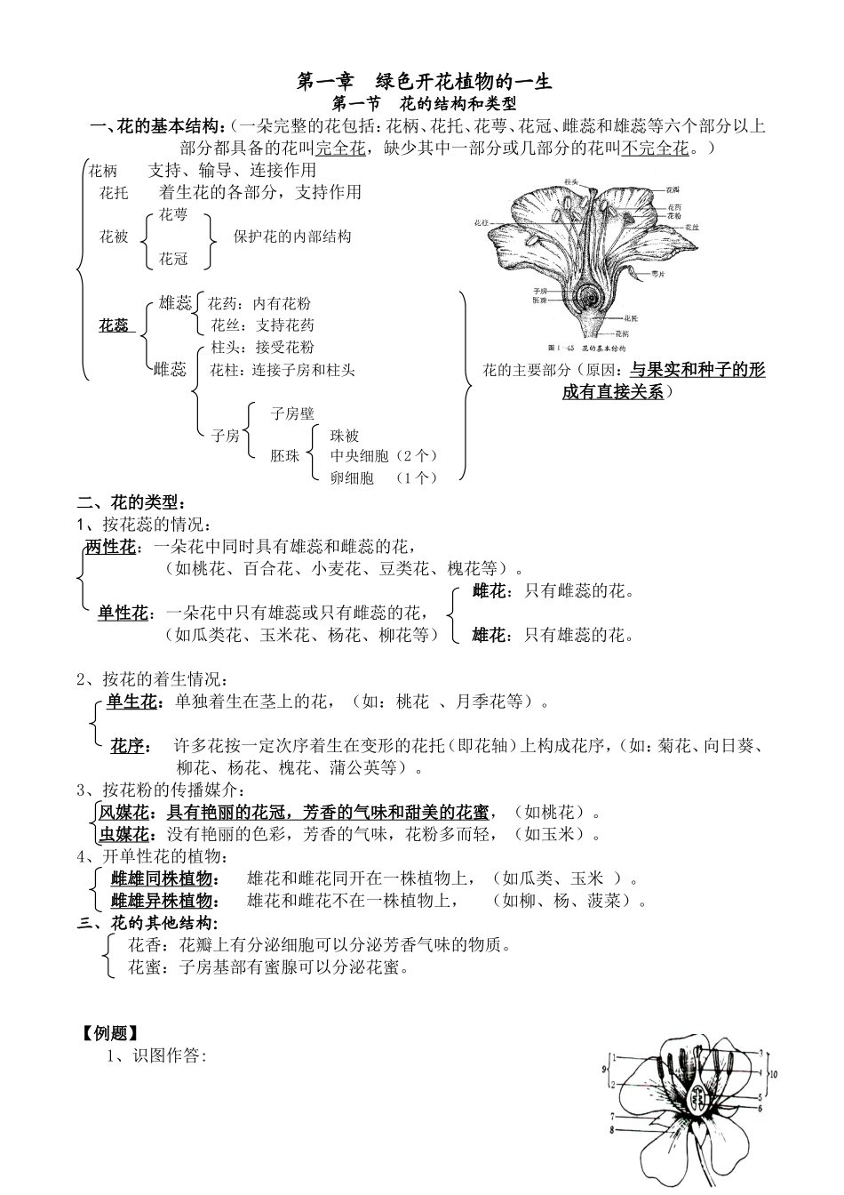 第一章绿色开花植物的一生_第1页