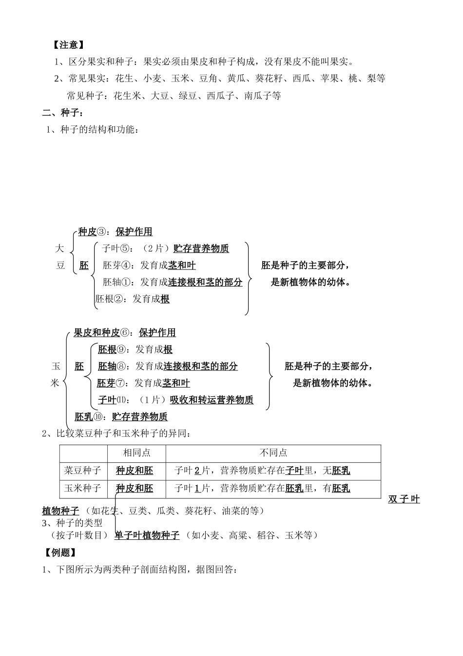 第一章绿色开花植物的一生_第3页