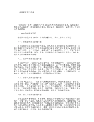 法院院长整改措施