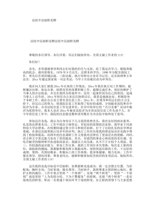 法院中层副职竞聘