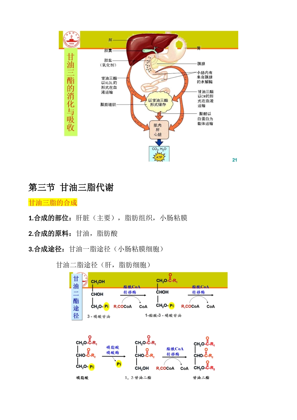 第七章脂质代谢_第2页