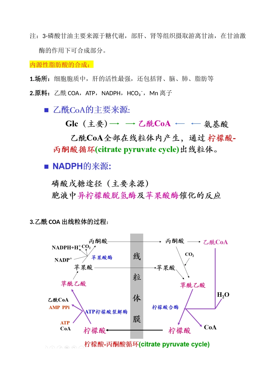 第七章脂质代谢_第3页