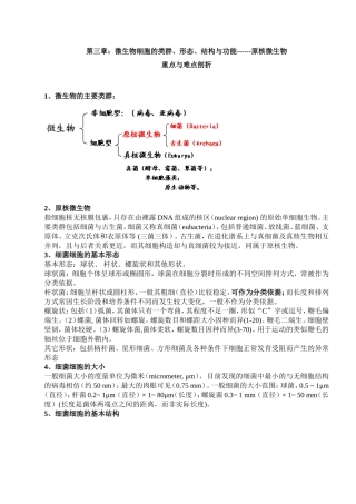 第三章：微生物细胞的类群、形态、结构与功能------原核微生物