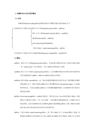 非编码RNA的分类及概念