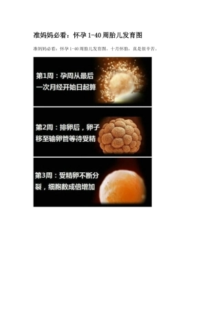 准妈妈必看：怀孕1-40周胎儿发育图