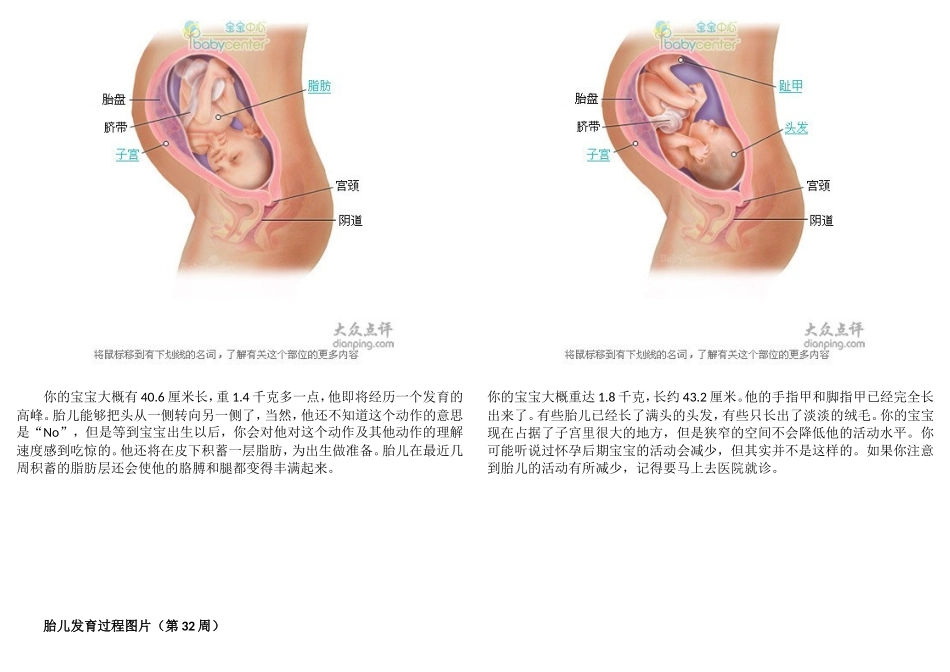 准妈妈第八月_第2页