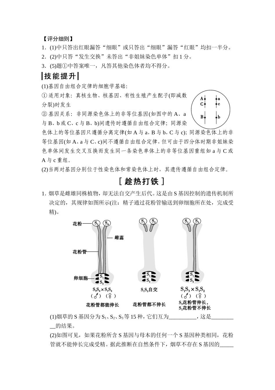 高频考点2孟德尔定律、伴性遗传及人家遗传病_第2页