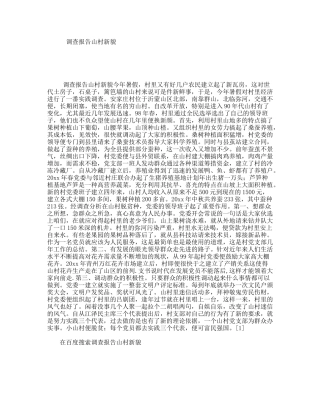 调查报告山村新貌