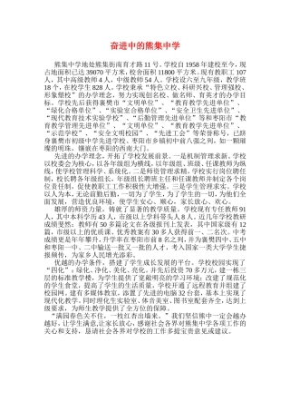 奋进中的熊集中学