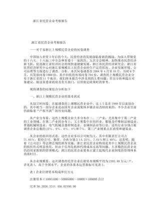 浙江省民营企业考察报告