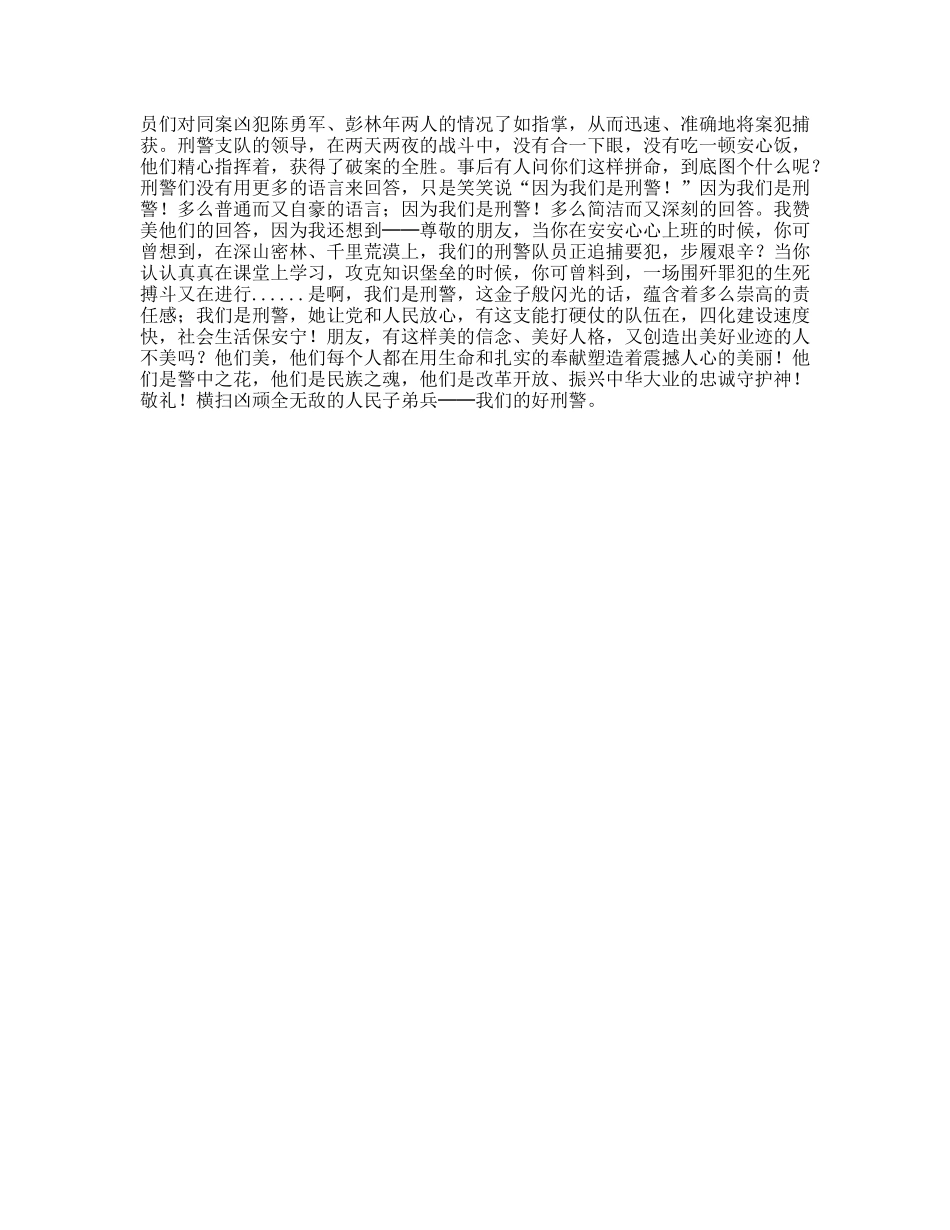 震撼人心的美丽（刑警赞歌）_第2页