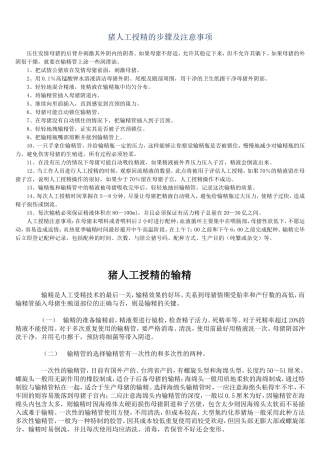 猪人工授精的输精  