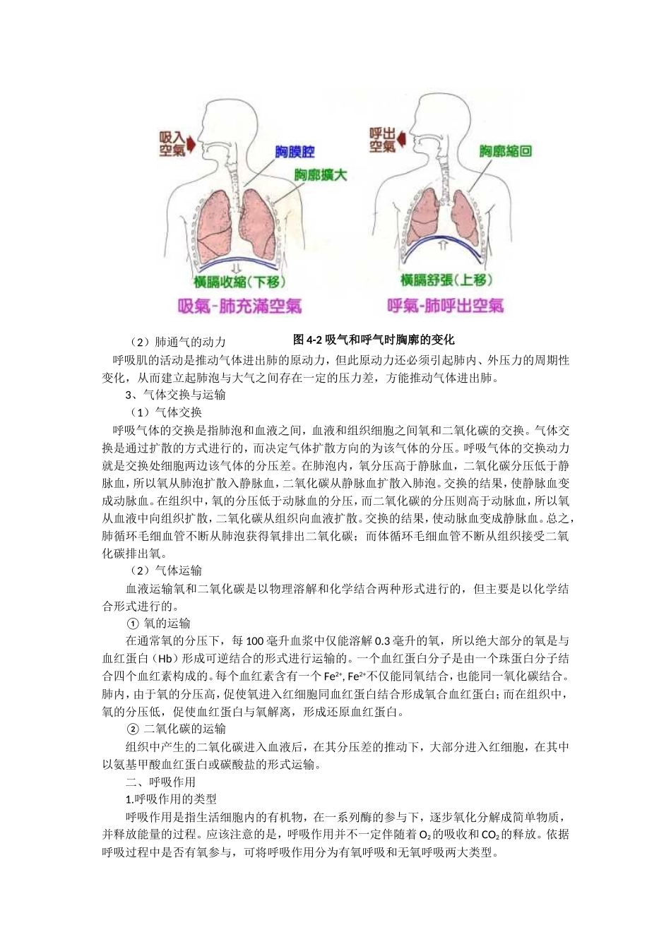高中生物奥林匹克竞赛辅导专题突破之呼吸作用_第2页
