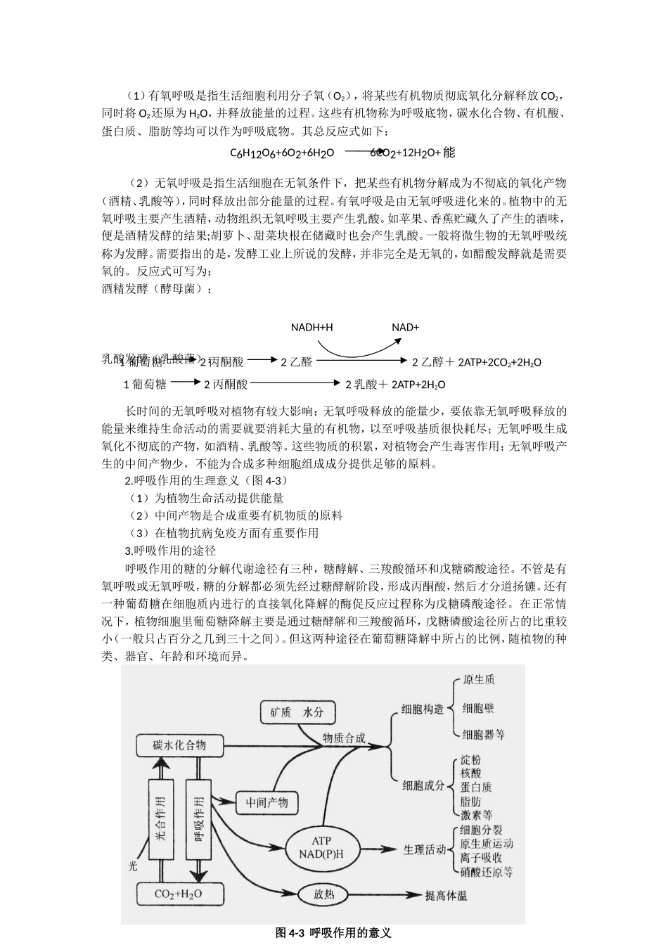 高中生物奥林匹克竞赛辅导专题突破之呼吸作用_第3页