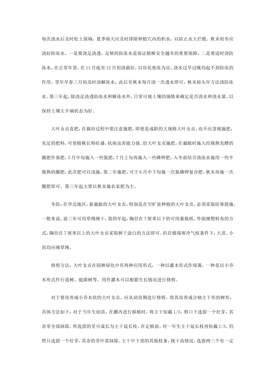 专家解析女贞大树移植移栽管理技术和方法_第2页