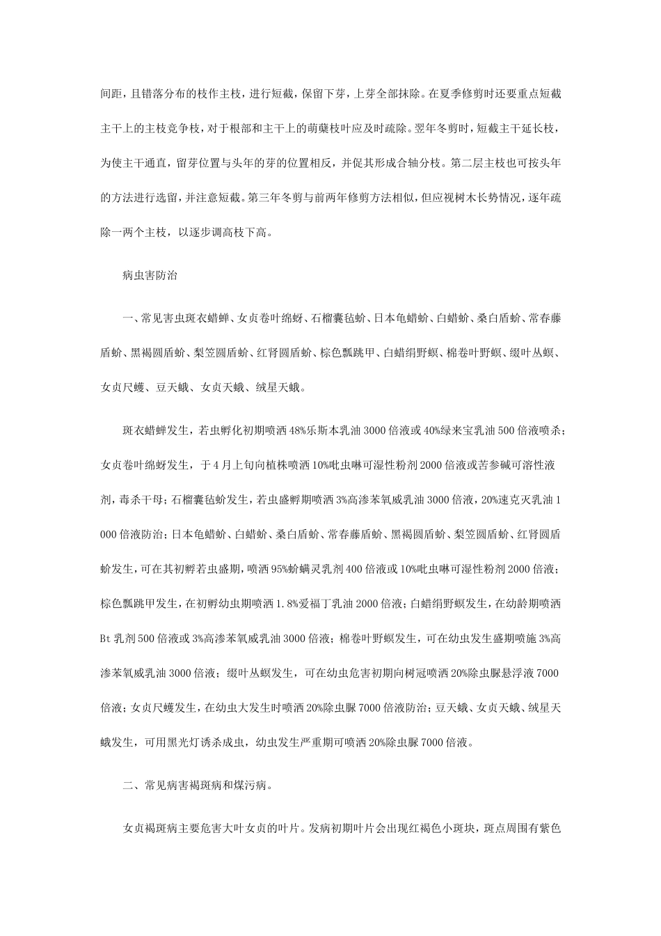 专家解析女贞大树移植移栽管理技术和方法_第3页