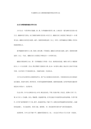 专家解析女贞大树移植移栽管理技术和方法