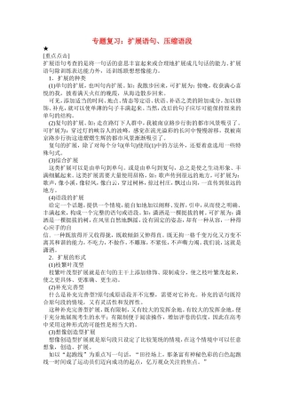 专题复习：扩展语句、压缩语段