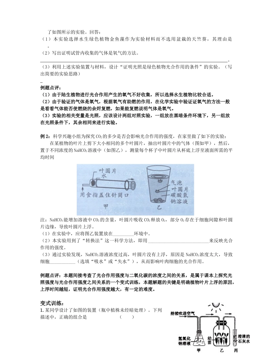 专题七：生物的新陈代谢_第2页