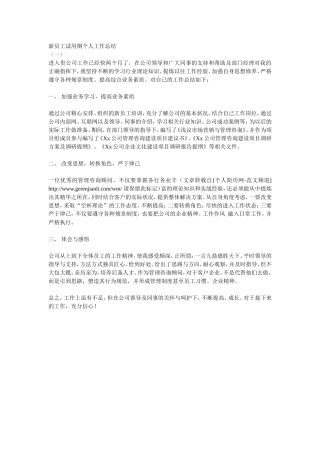 新员工试用期个人工作总结