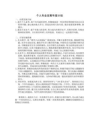 个人专业发展年度计划