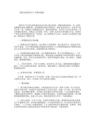 药监局党组书记个人整改措施