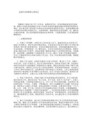 选调生挂职锻炼心得体会