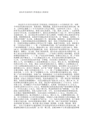 县长在全县经济工作促进会上的讲话