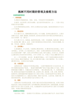 桃树不同时期的管理及修剪方法