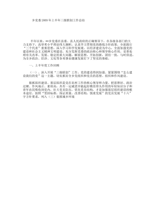 乡党委2009年上半年三级联创工作总结