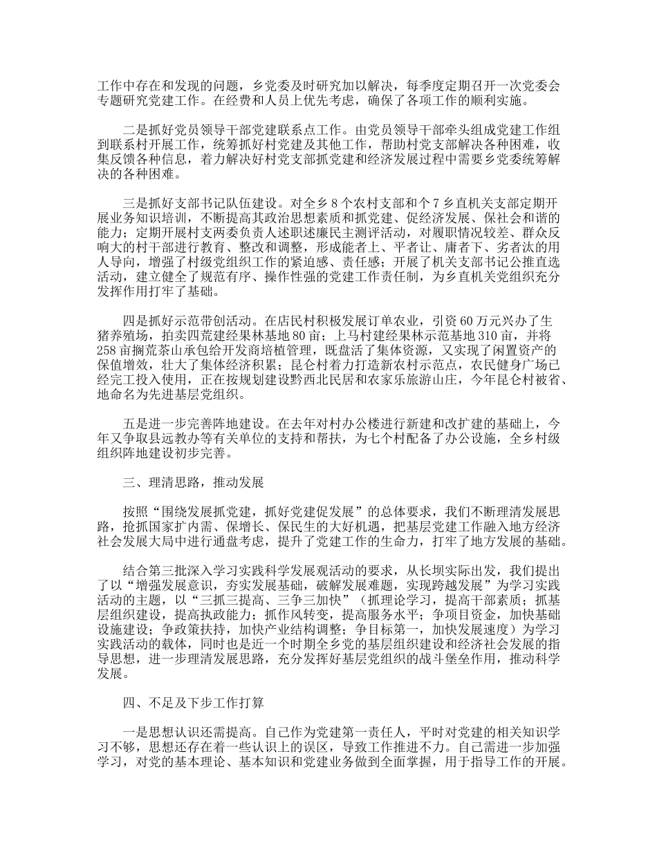 乡党委书记年终总结_第2页