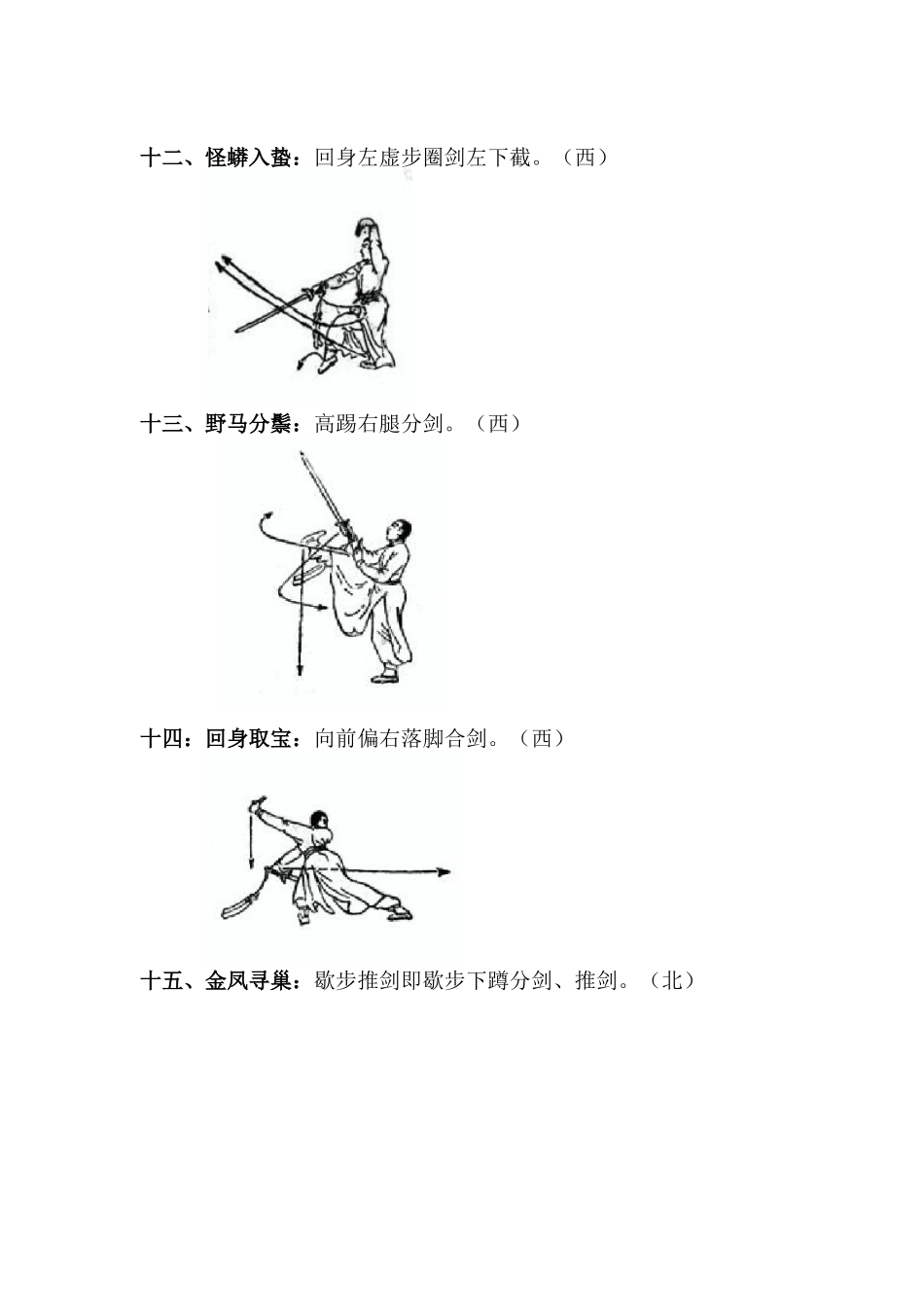 武当太乙玄门剑动作图解_第2页
