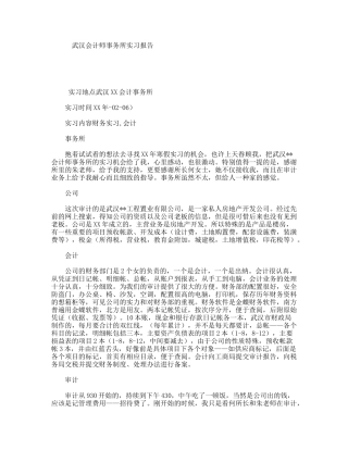 武汉会计师事务所实习报告