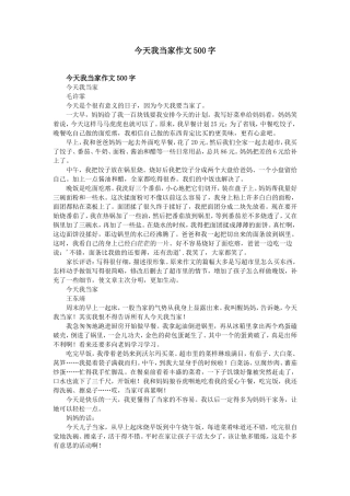 今天我当家作文500字