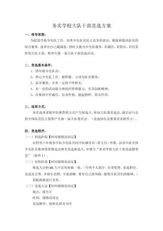 务实学校大队干部竞选方案