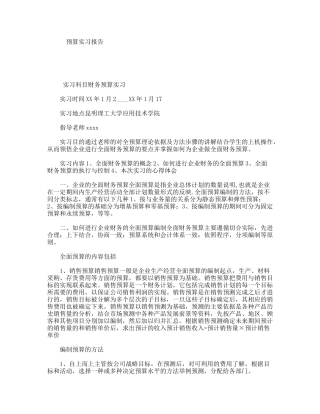 预算实习报告