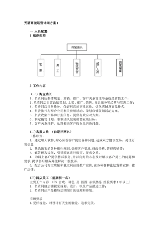 天猫商城运营详细方案